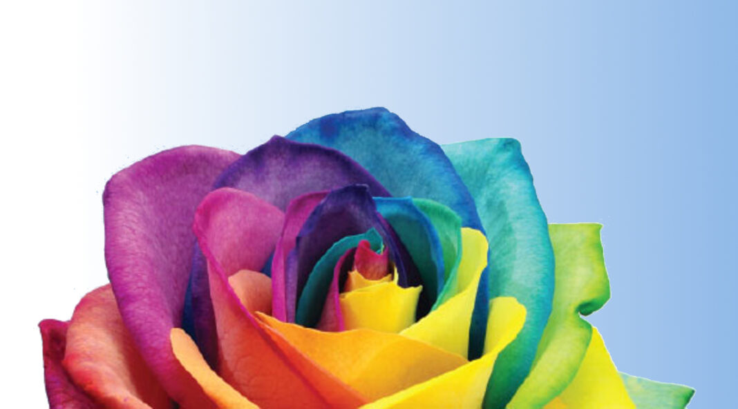 Giornata internazionale contro l’omofobia, la bifobia e la transfobia